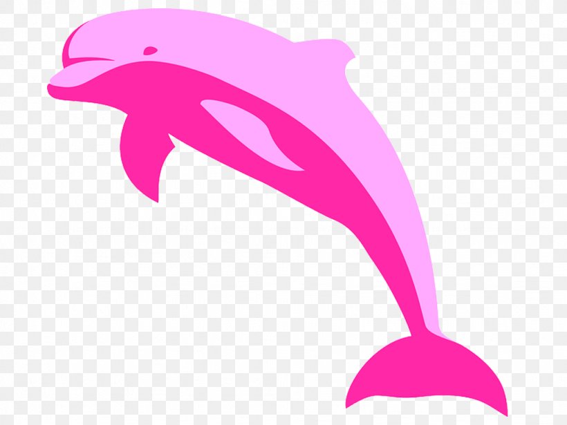 Amazon River Dolphin Free Clip Art, PNG, 1024x768px, Dolphin, Amazon River Dolphin, Beak, Drawing, Fish Download Free