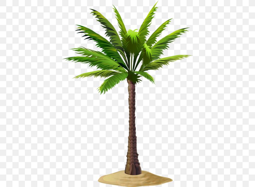 Asian Palmyra Palm Date Palm Coconut Babassu Clip Art, PNG, 422x600px, Asian Palmyra Palm, Arecales, Attalea Speciosa, Babassu, Borassus Download Free
