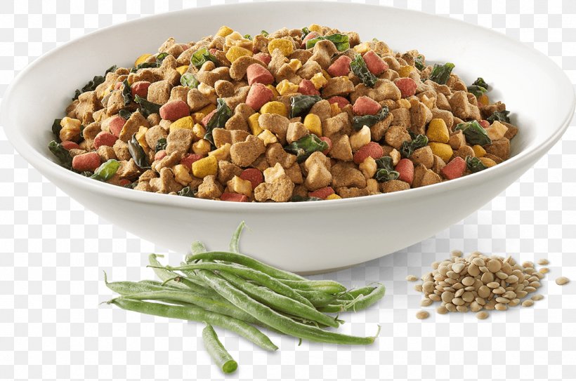 Dog Food Vegetarian Cuisine Chicken As Food, PNG, 1131x749px, Dog, Baking, Bean, Breed, Cereal Download Free