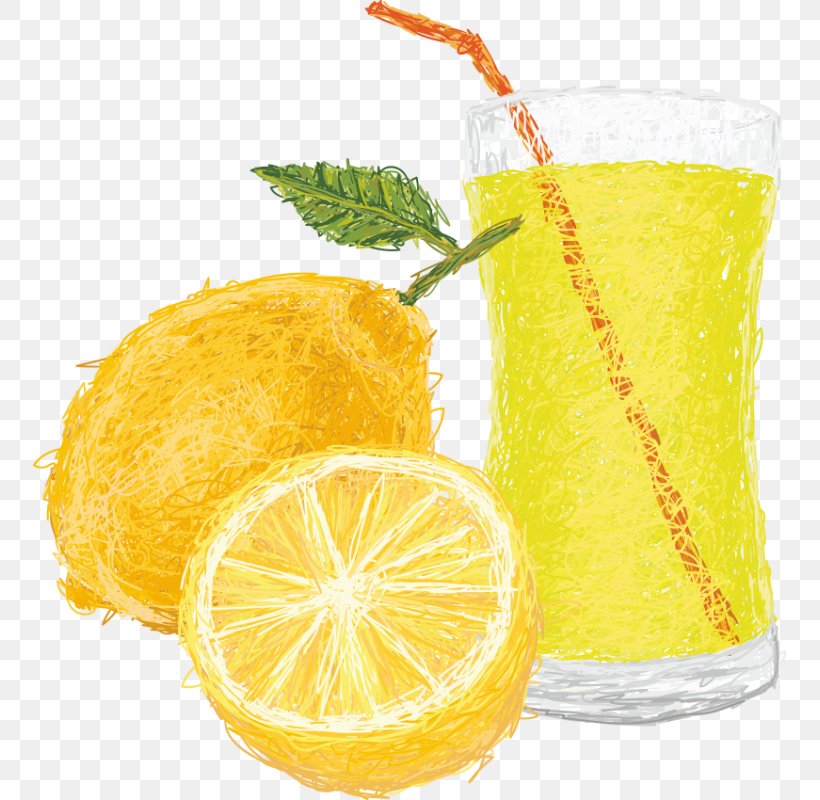 Lemon-lime Drink Juice Illustration Orange Drink, PNG, 800x800px, Lemon, Citric Acid, Citron, Citrus, Cocktail Garnish Download Free