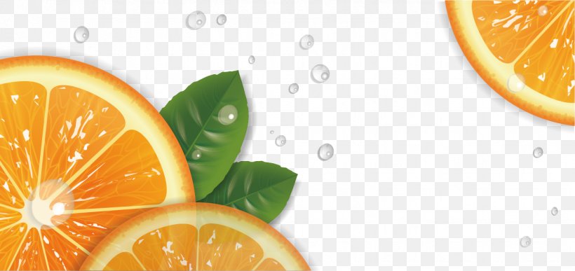 Lemon Tangelo Rangpur Mandarin Orange Grapefruit, PNG, 1336x631px, Lemon, Bitter Orange, Citric Acid, Citrus, Diet Food Download Free