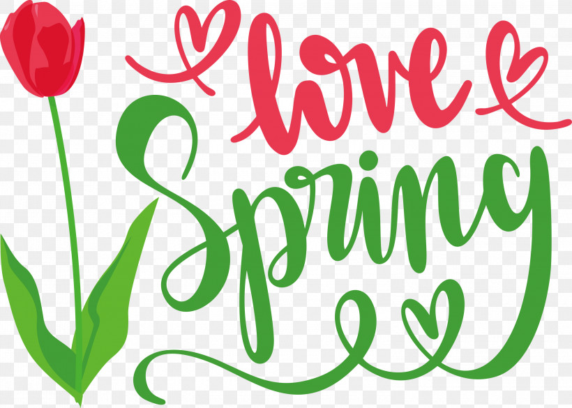 Love Spring Spring, PNG, 3000x2142px, Spring, Floral Design, Green, Leaf, Line Download Free