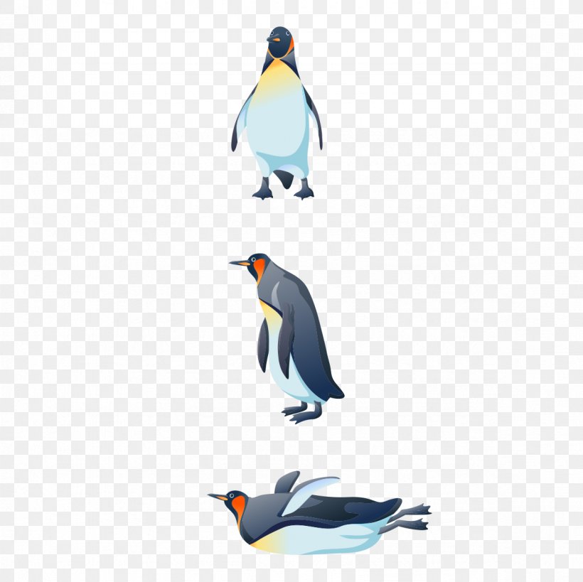 Bird Penguin Gulls Swallow, PNG, 1181x1181px, Bird, Animal, Beak, Computer, Drawing Download Free