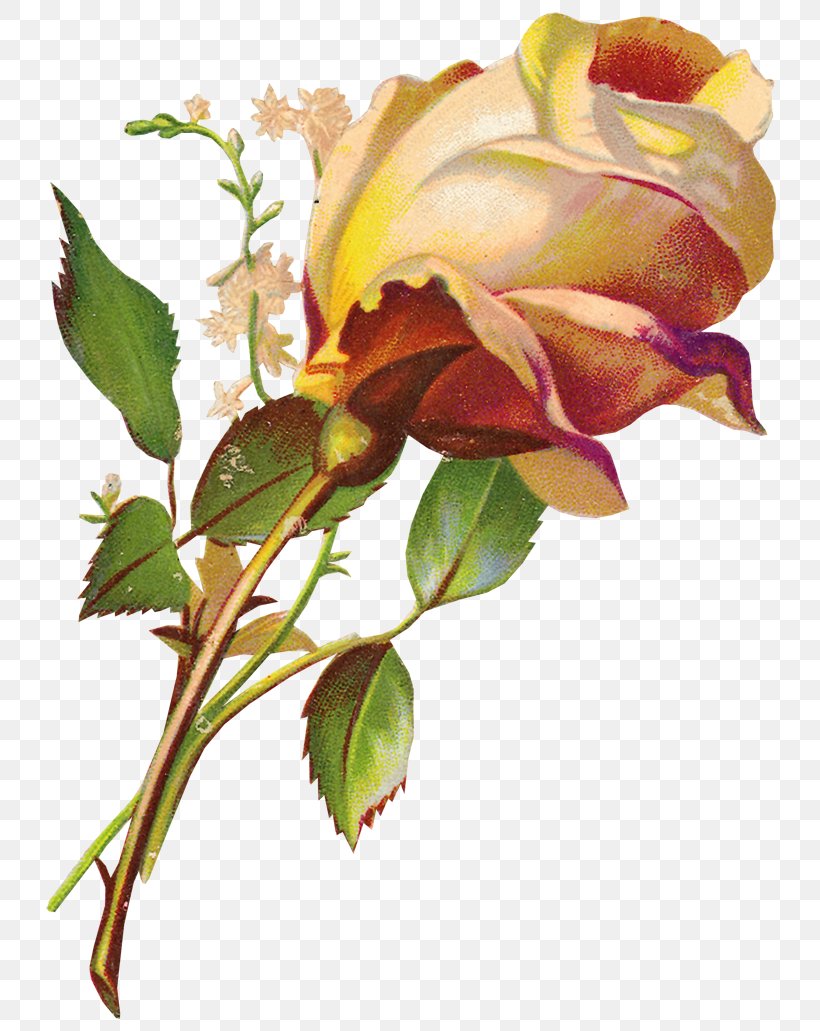 Bokmärke Flower Clip Art, PNG, 771x1031px, Flower, Bud, Cut Flowers, Decoupage, Diary Download Free