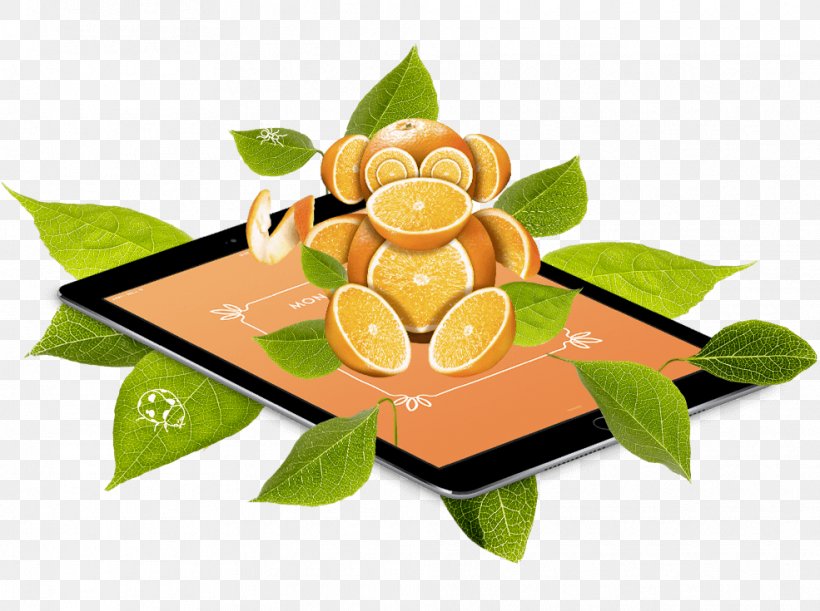 Citrus HTTP Cookie Fruit Tree Science Merienda, PNG, 985x735px, Citrus, Family, Food, Fruit, Fruit Tree Download Free