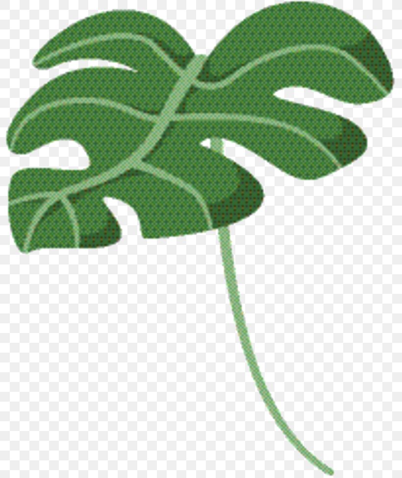 Green Leaf Background, PNG, 810x976px, Leaf, Botany, Flower, Flowering Plant, Green Download Free