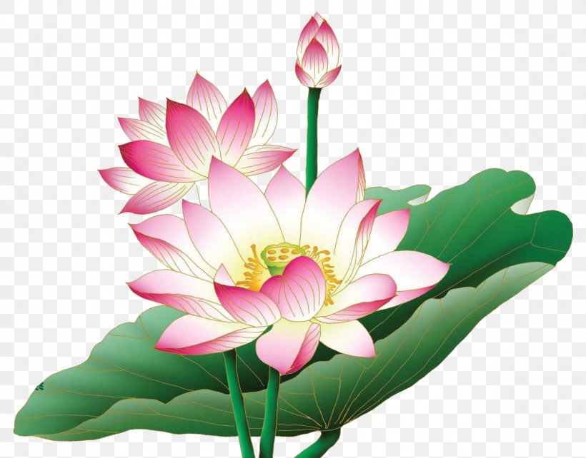 Nelumbo Nucifera Egyptian Lotus Flower Clip Art, PNG, 1181x926px, Nelumbo Nucifera, Aquatic Plant, Aquatic Plants, Artificial Flower, Common Sunflower Download Free