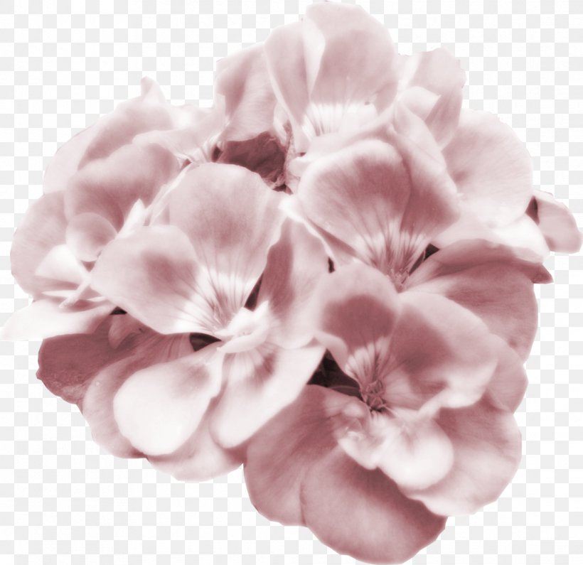 Flower Pink Petal Clip Art, PNG, 1113x1080px, Flower, Cut Flowers, Flowering Plant, Hydrangea, Lilac Download Free