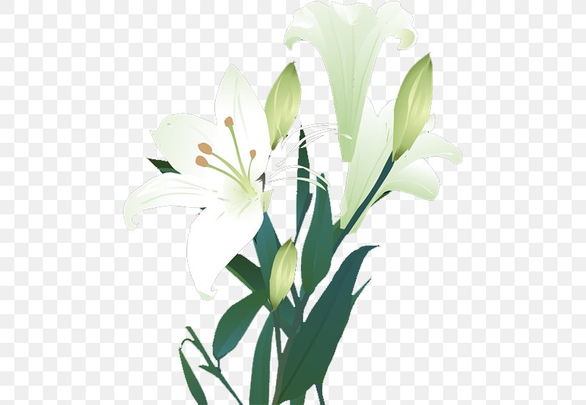 Lilium Landscape Gratis Euclidean Vector, PNG, 476x567px, Lilium, Cut Flowers, Flora, Floral Design, Floristry Download Free