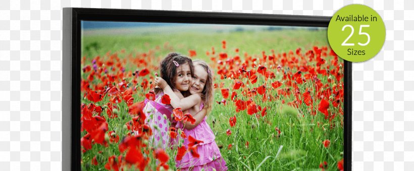 National Hugging Day Valentine's Day Wish International Kissing Day Desktop Wallpaper, PNG, 1170x485px, 2017, National Hugging Day, Child, Field, Flora Download Free