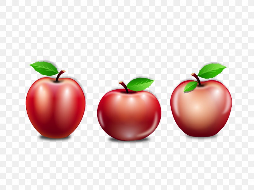 Apple Euclidean Vector Barbados Cherry, PNG, 1024x768px, Apple, Acerola, Acerola Family, Barbados Cherry, Cherry Download Free