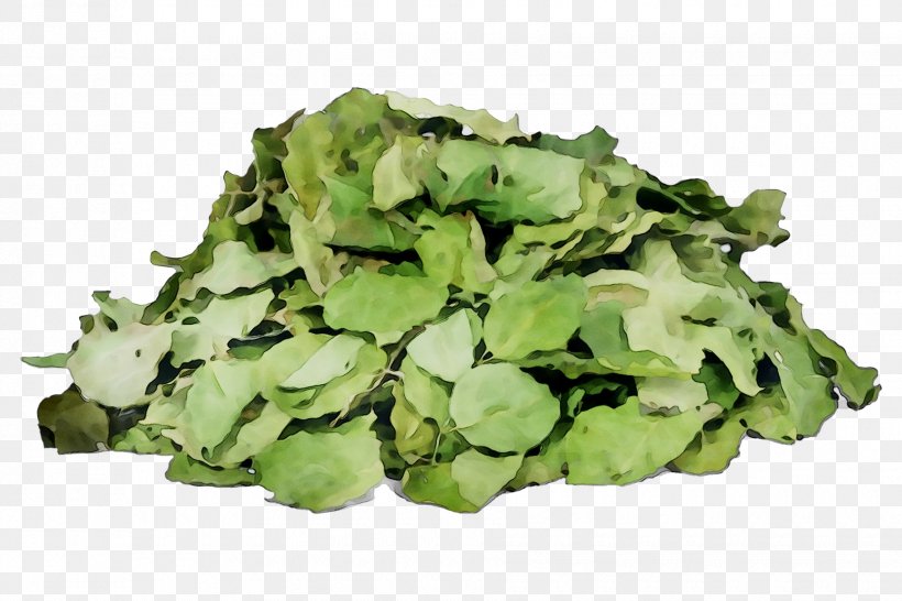 Broccoli Spring Greens Rapini Lettuce Spinach, PNG, 1830x1220px, Broccoli, Cruciferous Vegetables, Flower, Food, Green Download Free