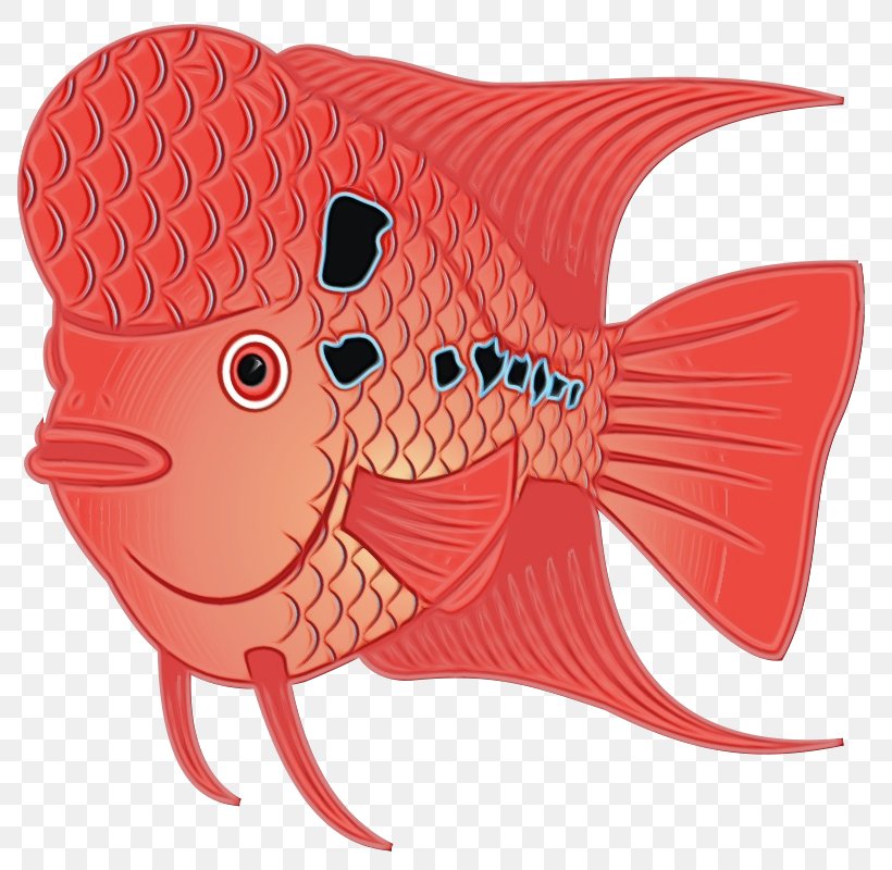 Cartoon Fish Pink Fish Goldfish, PNG, 800x800px, Watercolor, Cartoon, Fish, Goldfish, Paint Download Free