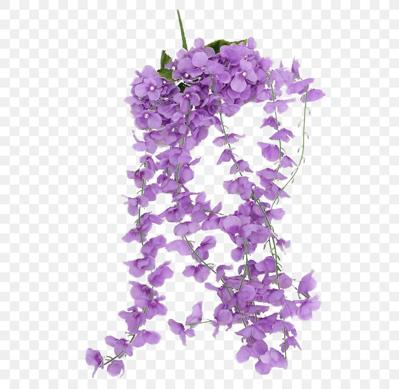 Violet Flower Download Clip Art, PNG, 800x800px, Violet, Color, Cut Flowers, Flower, Lavender Download Free