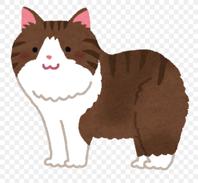 Whiskers Kitten Domestic Short-haired Cat Dog, PNG, 784x757px, Whiskers, Canidae, Carnivoran, Cartoon, Cat Download Free