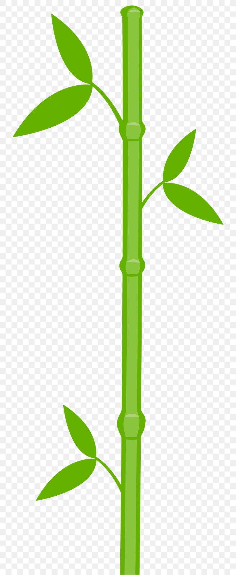 Clip Art Openclipart Image Bamboo Free Content, PNG, 772x2000px, Bamboo, Can Stock Photo, Drawing, Grass, Grass Family Download Free