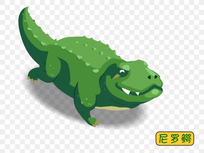 Crocodiles Early Childhood Education Illustration, PNG, 2000x1500px, Crocodiles, Amphibian, Crocodile, Crocodilia, Designer Download Free