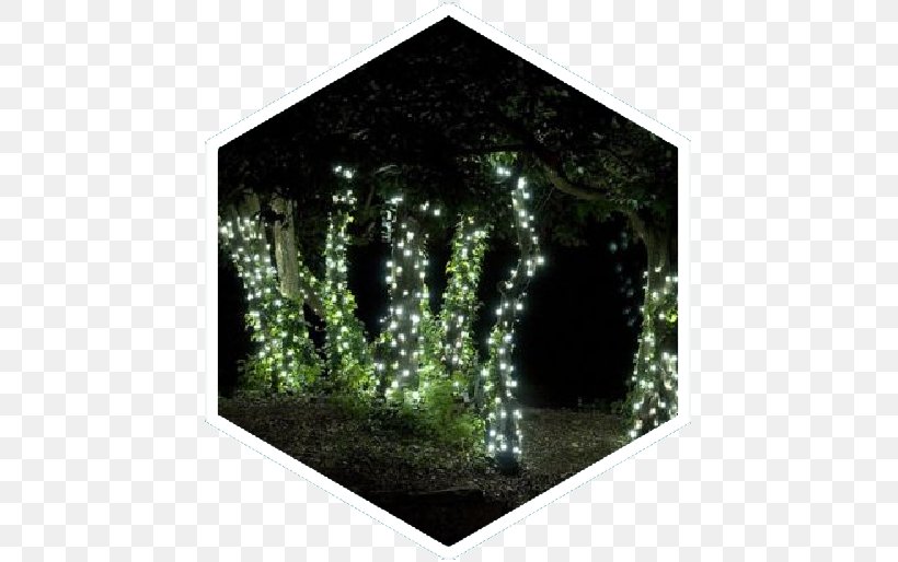 Light-emitting Diode Christmas Lights Landscape Lighting, PNG, 526x514px, Light, Biome, Christmas Lights, Garden, Garden Centre Download Free