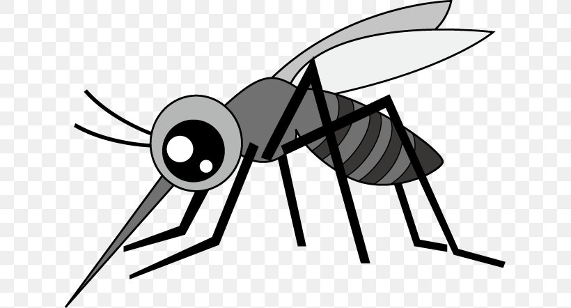 Mosquito Insect Fly Blood Pest, PNG, 633x442px, Mosquito, Arthropod, Artwork, Black And White, Blood Download Free