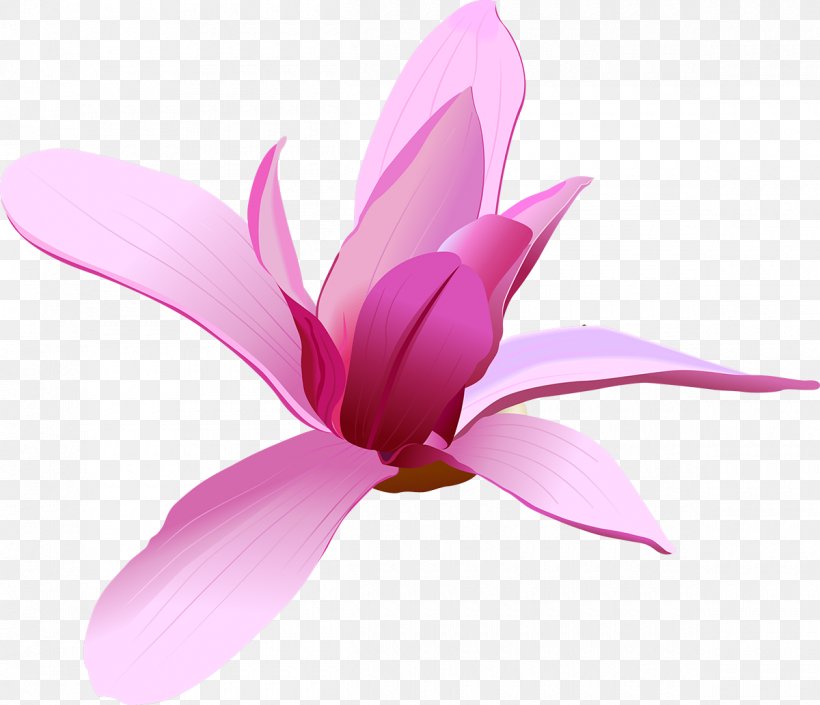 Pink Flowers Clip Art, PNG, 1200x1033px, Flower, Blue Rose, Bud, Cdr, Cut Flowers Download Free