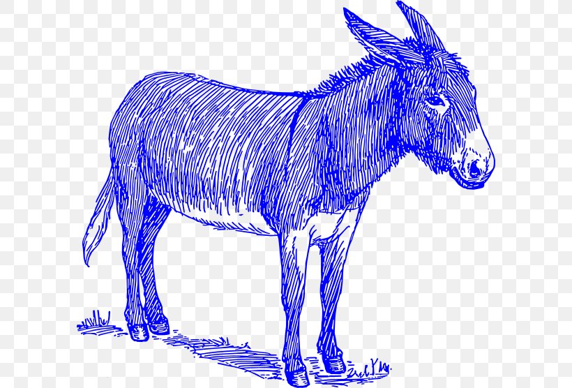 Donkey Mule Sketch Drawing Painting, PNG, 600x556px, Donkey, Animal Figure, Art, Blanket, Burro Download Free
