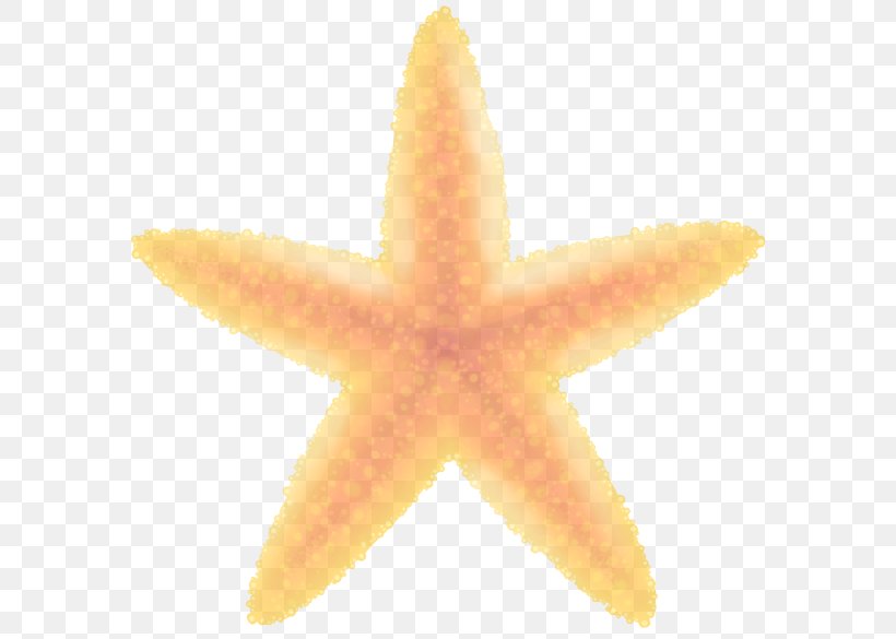 Orange, PNG, 600x585px, Orange, Marine Invertebrates, Star, Starfish, Yellow Download Free