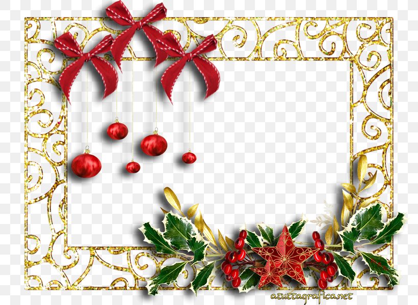 Picture Frames Christmas Ornament Graphic Design, PNG, 800x599px, Picture Frames, Animaatio, Aquifoliaceae, Christmas, Christmas Carol Download Free