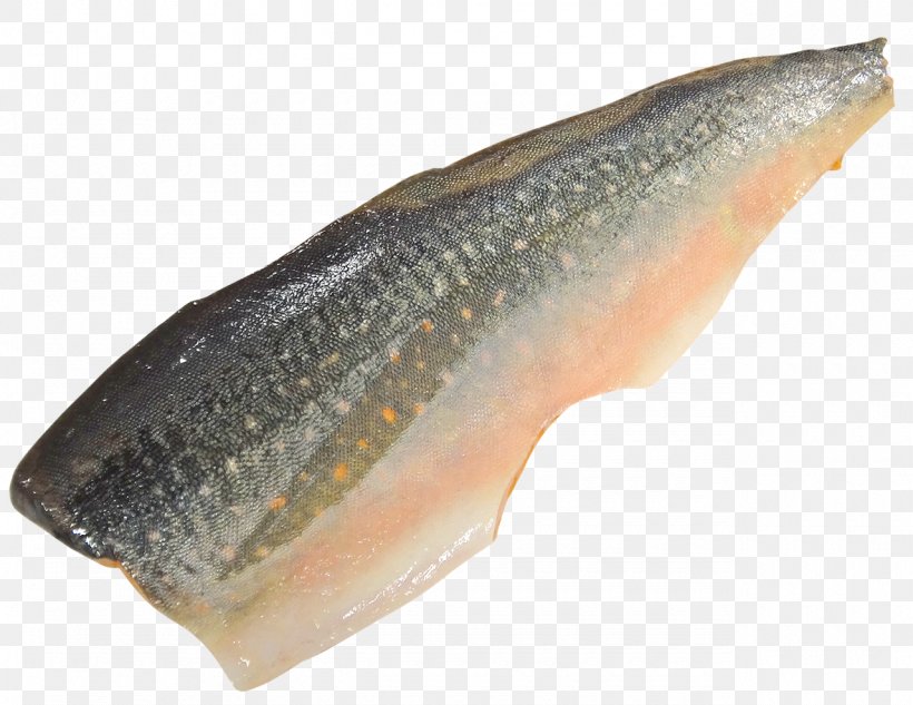 Sashimi Fishing Seafood Salmon, PNG, 1280x989px, Sashimi, Animal Source Foods, Arctic Char, Bony Fish, Chinook Salmon Download Free