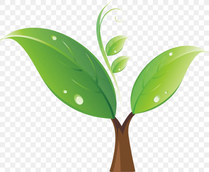 Seedling Tree Clip Art, PNG, 1036x856px, Tree, Grass, Green, Leaf, Plant Download Free