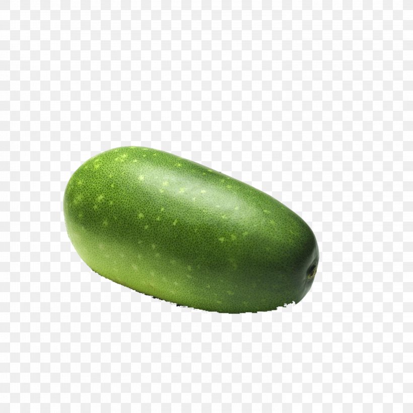 Cucumber Cantaloupe Wax Gourd Melon Vegetable, PNG, 2953x2953px, Cucumber, Avocado, Bitter Melon, Bitterness, Cantaloupe Download Free