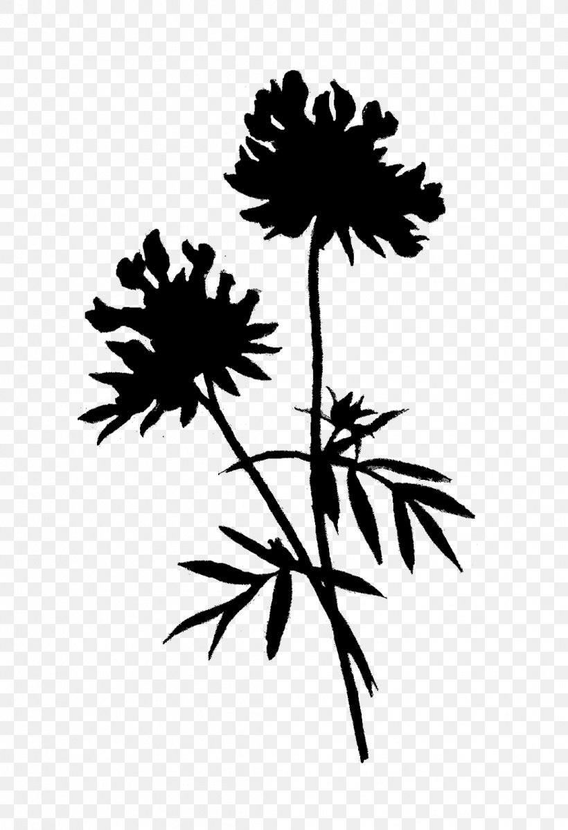 Flowering Plant Plant Stem Leaf Silhouette, PNG, 1096x1600px, Flower, American Larch, Blackandwhite, Botany, Dandelion Download Free
