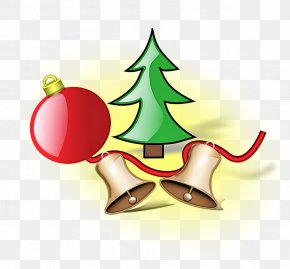 Pine Family Interior Design - Christmas Tree PNG