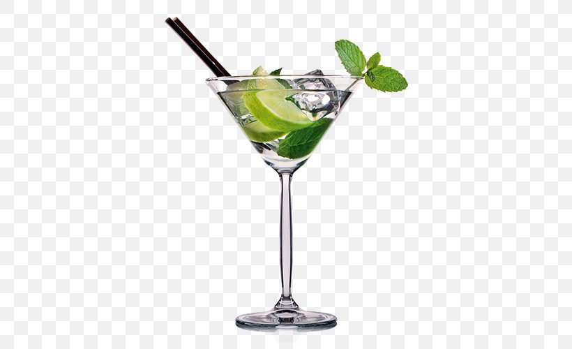 Cocktail Garnish Gin And Tonic Martini, PNG, 500x500px, Cocktail Garnish, Alcoholic Beverage, Bacardi Cocktail, Bombay Sapphire, Caipirinha Download Free