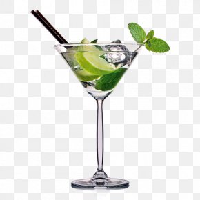 Healthy Drinks - Cocktail Garnish Gin And Tonic Martini PNG
