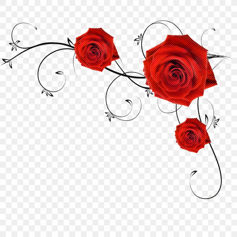 Garden Roses, PNG, 1417x1417px, Red, Cut Flowers, Floral Design, Floribunda, Flower Download Free