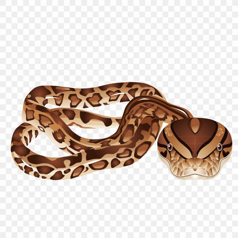 Snake Vipers Download Clip Art, PNG, 1500x1501px, Snake, Boa Constrictor, Boas, Bushmasters, Cobra Download Free