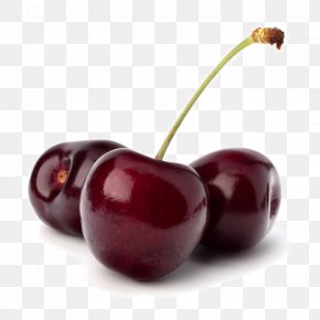Cherry - Soft Drink Coca-Cola Cherry Cherry Cola PNG