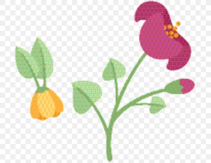 Sweet Pea Flower, PNG, 717x634px, Plant Stem, Flower, Fruit, Leaf, Pedicel Download Free