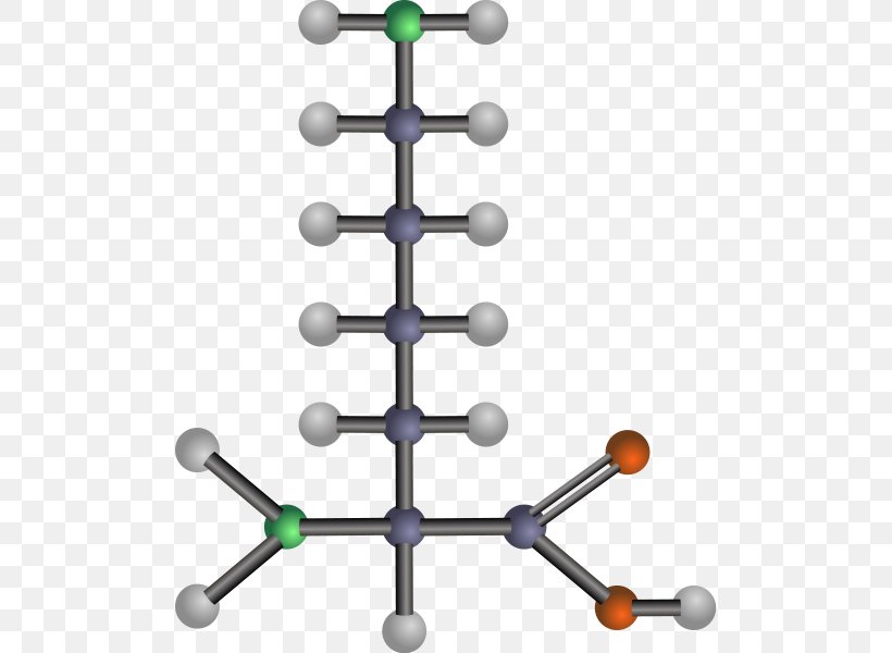 Amino Acid Leucine Protein, PNG, 498x600px, Amino Acid, Acid, Alanine, Amine, Body Jewelry Download Free