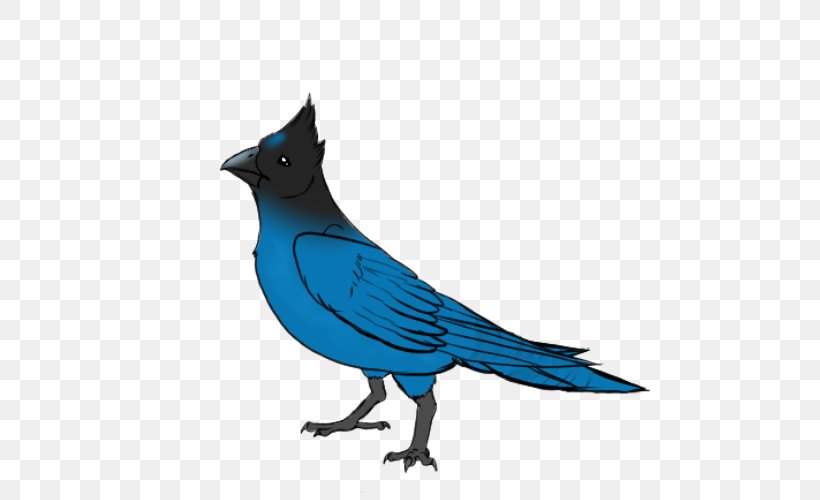 Blue Jay Cobalt Blue Feather, PNG, 500x500px, Blue Jay, Beak, Bird, Blue, Cobalt Download Free