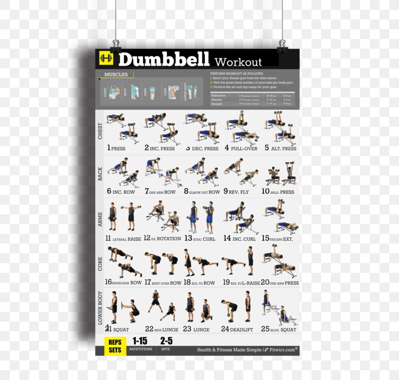 Bodyweight Exercise Dumbbell Fitness Centre Weight Training, PNG, 600x780px, Exercise, Bodyweight Exercise, Dumbbell, Exercise Balls, Fitness Centre Download Free