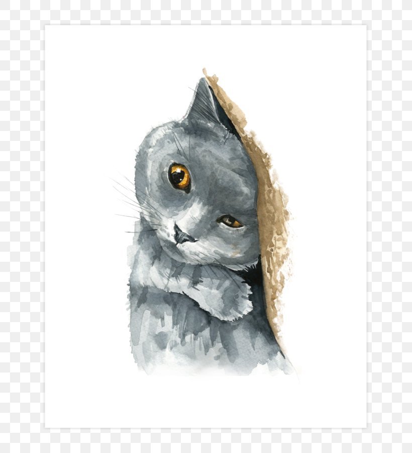Whiskers Owl Cat Snout Beak, PNG, 740x900px, Whiskers, Beak, Bird, Bird Of Prey, Cat Download Free