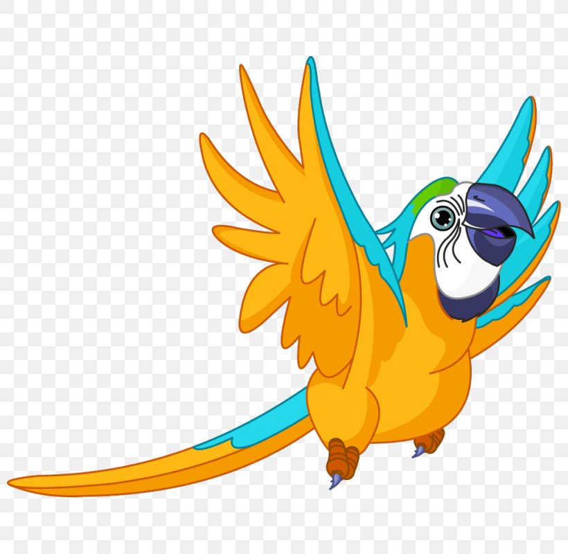 Macaw Parrot Sticker Clip Art, PNG, 800x800px, Macaw, Adhesive, Art, Beak, Bird Download Free