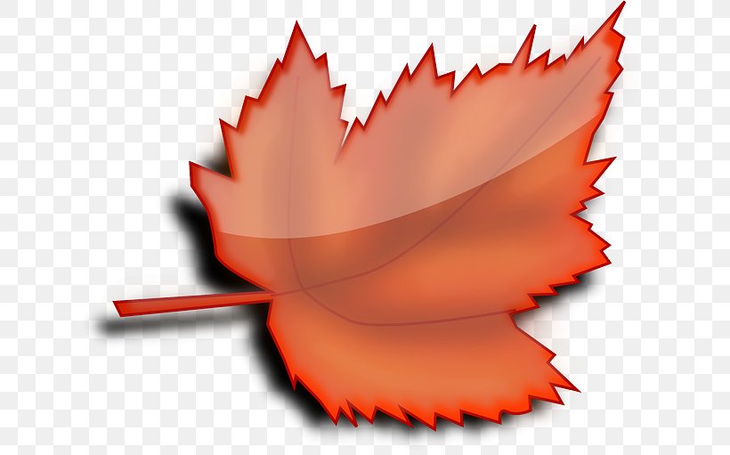 Autumn Leaf Color Tree Clip Art, PNG, 640x511px, Leaf, Autumn, Autumn Leaf Color, Close Up, Flower Download Free