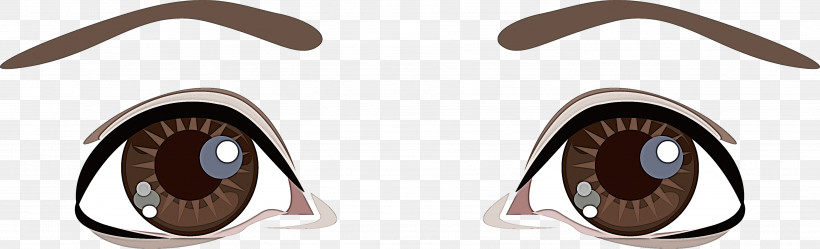 Eyewear Brown, PNG, 3621x1102px, Eyewear, Brown Download Free