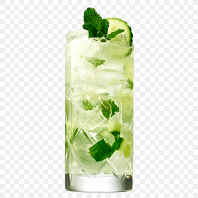 Gin And Tonic Cocktail Buck Distilled Beverage, PNG, 2362x2362px, Gin, Bottle, Buck, Caipiroska, Cocktail Download Free
