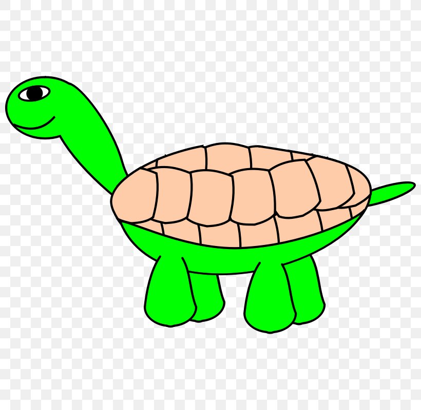 Green Sea Turtle Tortoise Clip Art, PNG, 800x800px, Turtle, Animal Figure, Animation, Artwork, Cartoon Download Free