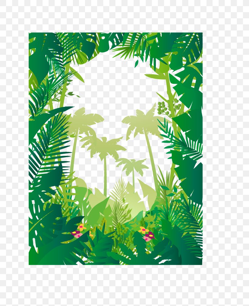 Jungle Tropics Wallpaper, PNG, 800x1005px, Jungle, Border, Branch, Drawing, Fir Download Free