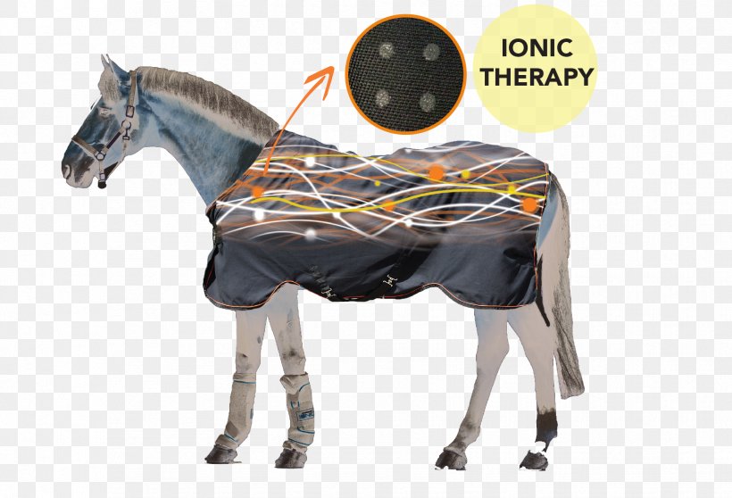 Rambo Ionic Therapy Horse Boot Rambo Fly Buster With Vamoose Fly Rug Rambo Ionic Stable Therapy Rug Rambo Ionic 200G Stable Rug, PNG, 1726x1175px, Horse, Bridle, Carpet, Halter, Horse Harness Download Free