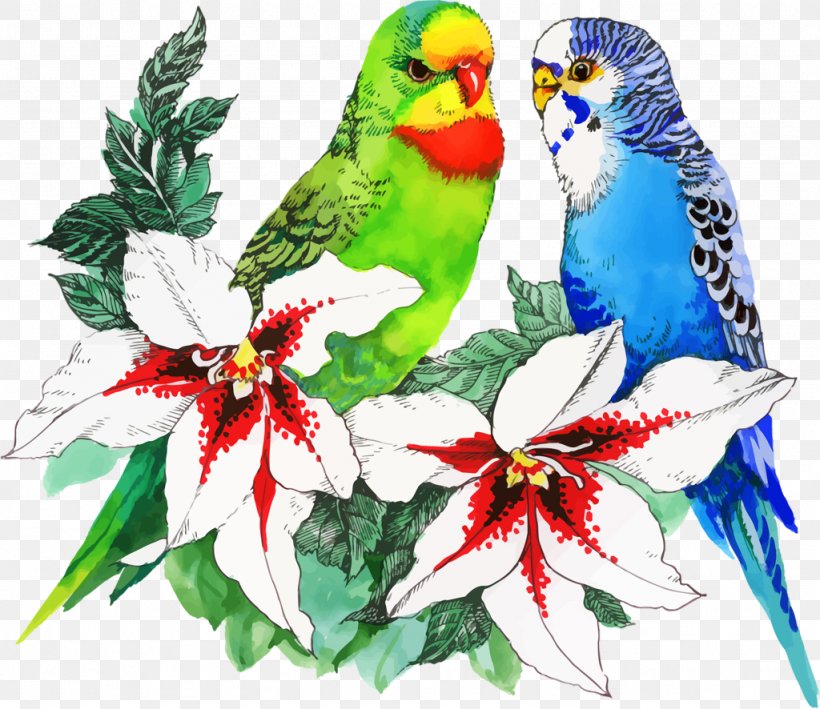 Bird Parrot Drawing Flower, PNG, 1024x886px, Bird, Beak, Common Pet Parakeet, Drawing, Fauna Download Free
